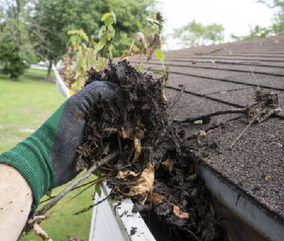 WaterTight Roofing Indy | Top Exterior Home Improvements That Increase Property Value in Indianapolis exterior home contractor